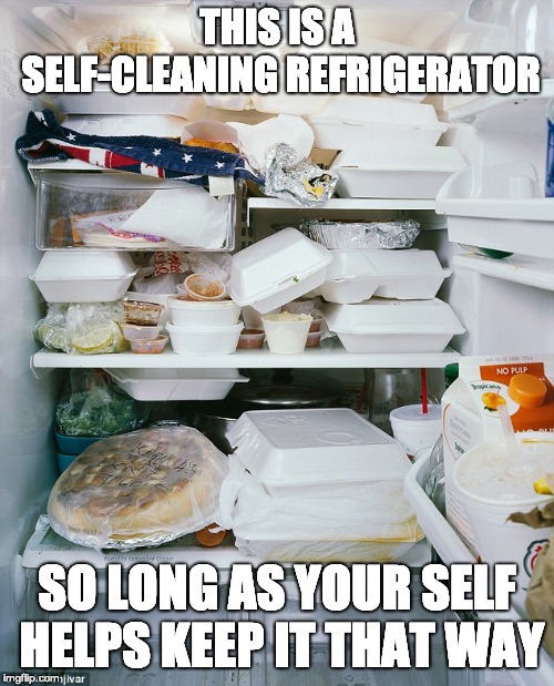 Refridgerators blues | THIS IS A SELF-CLEANING REFRIGERATOR; SO LONG AS YOUR SELF HELPS KEEP IT THAT WAY | image tagged in refridgerators blues | made w/ Imgflip meme maker