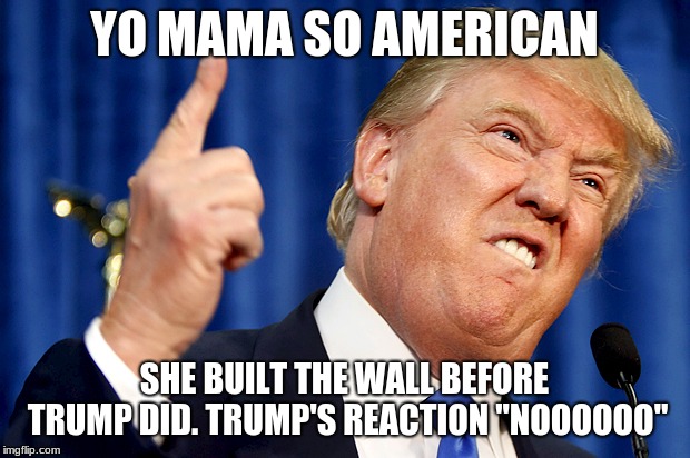 Donald Trump | YO MAMA SO AMERICAN; SHE BUILT THE WALL BEFORE TRUMP DID.
TRUMP'S REACTION "NOOOOOO" | image tagged in donald trump | made w/ Imgflip meme maker