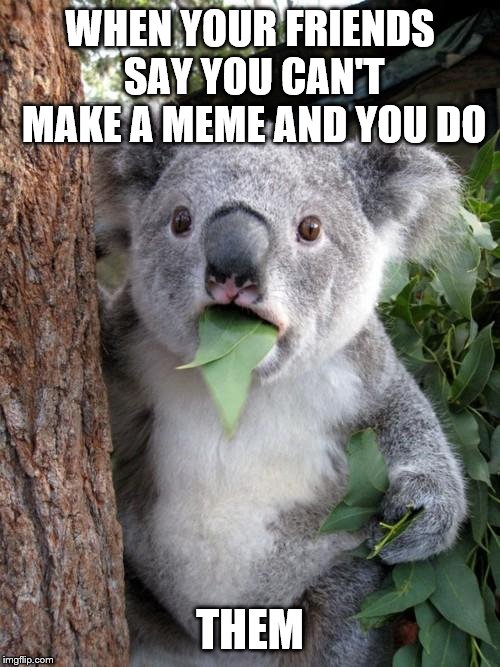 Surprised Koala | WHEN YOUR FRIENDS SAY YOU CAN'T MAKE A MEME AND YOU DO; THEM | image tagged in memes,surprised koala | made w/ Imgflip meme maker