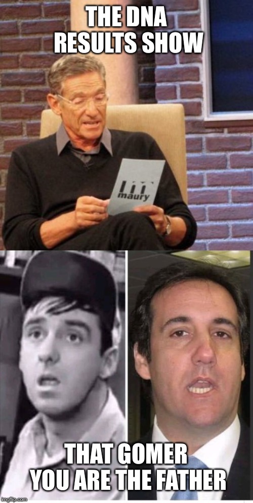 Maury the Results Are In | THE DNA RESULTS SHOW; THAT GOMER YOU ARE THE FATHER | image tagged in memes,maury lie detector,gomer pyle,michael cohen | made w/ Imgflip meme maker