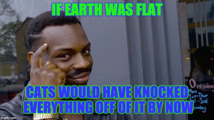 Cats would knock everything off | IF EARTH WAS FLAT; CATS WOULD HAVE KNOCKED EVERYTHING OFF OF IT BY NOW | image tagged in memes,roll safe think about it,flat earth,funny,cats | made w/ Imgflip meme maker