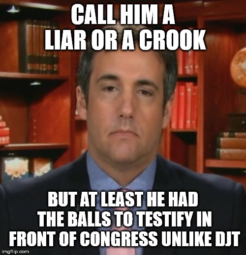 Michael Cohen | CALL HIM A LIAR OR A CROOK; BUT AT LEAST HE HAD THE BALLS TO TESTIFY IN FRONT OF CONGRESS UNLIKE DJT | image tagged in michael cohen | made w/ Imgflip meme maker