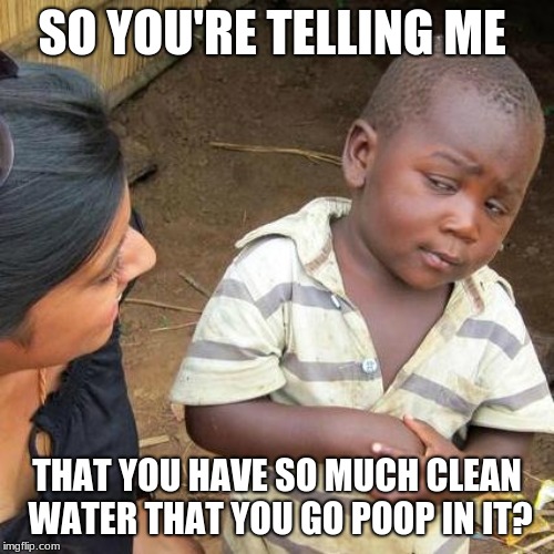 Third World Skeptical Kid Meme | SO YOU'RE TELLING ME; THAT YOU HAVE SO MUCH CLEAN WATER THAT YOU GO POOP IN IT? | image tagged in memes,third world skeptical kid,funny,poop,water,memelord344 | made w/ Imgflip meme maker
