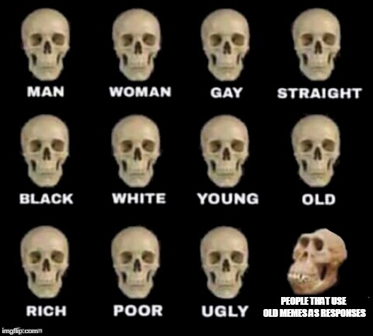 idiot skull |  PEOPLE THAT USE OLD MEMES AS RESPONSES | image tagged in idiot skull | made w/ Imgflip meme maker