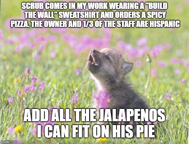 Baby Insanity Wolf Meme | SCRUB COMES IN MY WORK WEARING A "BUILD THE WALL" SWEATSHIRT AND ORDERS A SPICY PIZZA. THE OWNER AND 1/3 OF THE STAFF ARE HISPANIC; ADD ALL THE JALAPENOS I CAN FIT ON HIS PIE | image tagged in memes,baby insanity wolf | made w/ Imgflip meme maker