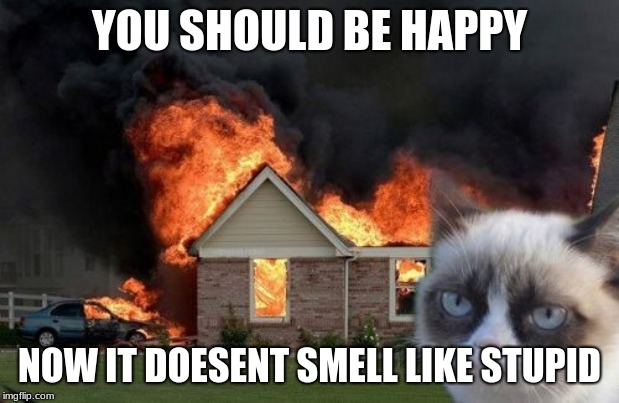 Burn Kitty Meme | YOU SHOULD BE HAPPY; NOW IT DOESENT SMELL LIKE STUPID | image tagged in memes,burn kitty,grumpy cat | made w/ Imgflip meme maker