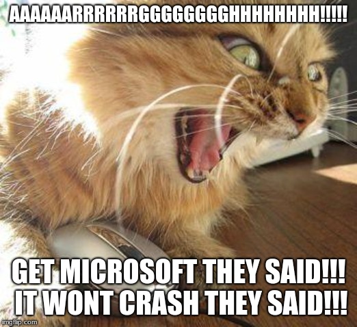 angry cat | AAAAAARRRRRRGGGGGGGGHHHHHHHH!!!!! GET MICROSOFT THEY SAID!!! IT WONT CRASH THEY SAID!!! | image tagged in angry cat | made w/ Imgflip meme maker