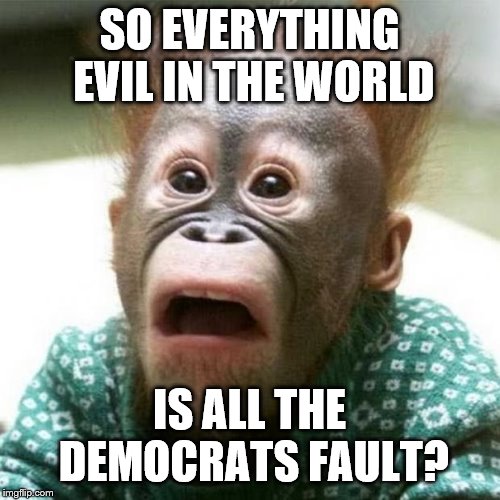 Shocked Monkey | SO EVERYTHING EVIL IN THE WORLD IS ALL THE DEMOCRATS FAULT? | image tagged in shocked monkey | made w/ Imgflip meme maker