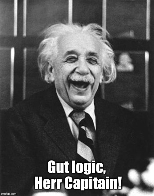 Einstein laugh | Gut logic, Herr Capitain! | image tagged in einstein laugh | made w/ Imgflip meme maker