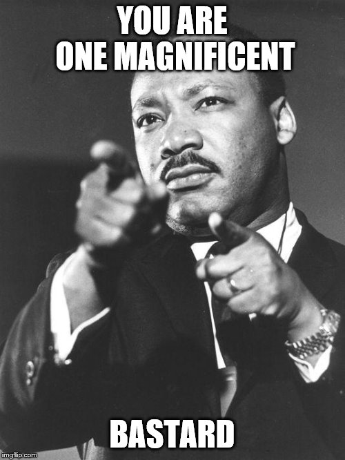 martin Luther King Jr  | YOU ARE ONE MAGNIFICENT BASTARD | image tagged in martin luther king jr | made w/ Imgflip meme maker