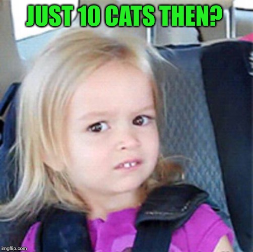 Confused Little Girl | JUST 10 CATS THEN? | image tagged in confused little girl | made w/ Imgflip meme maker