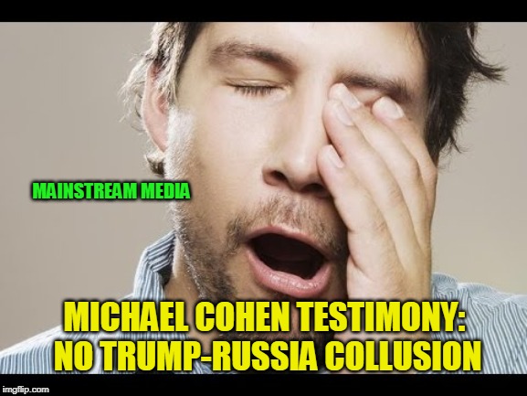 The Mainstream Media Yawns | MAINSTREAM MEDIA; MICHAEL COHEN TESTIMONY: NO TRUMP-RUSSIA COLLUSION | image tagged in michael cohen,president trump,trump russia collusion | made w/ Imgflip meme maker