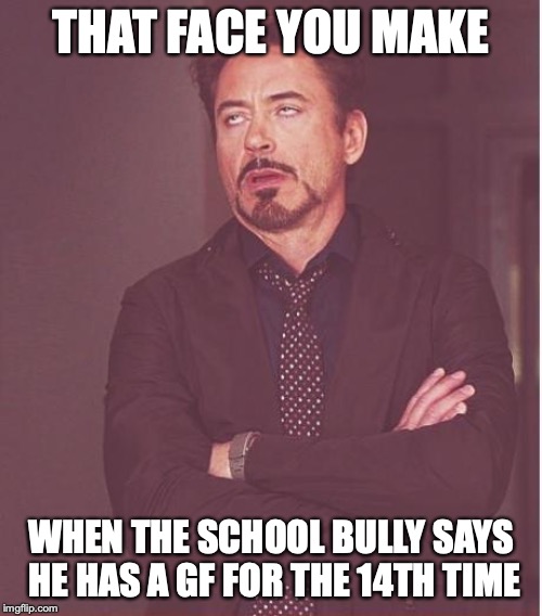 Face You Make Robert Downey Jr Meme | THAT FACE YOU MAKE; WHEN THE SCHOOL BULLY SAYS HE HAS A GF FOR THE 14TH TIME | image tagged in memes,face you make robert downey jr | made w/ Imgflip meme maker