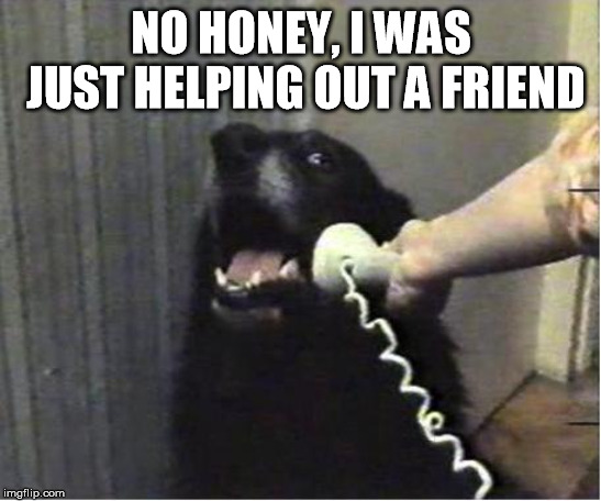 Yes this is dog | NO HONEY, I WAS JUST HELPING OUT A FRIEND | image tagged in yes this is dog | made w/ Imgflip meme maker