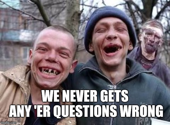 Hillbillys | WE NEVER GETS ANY 'ER QUESTIONS WRONG | image tagged in hillbillys | made w/ Imgflip meme maker