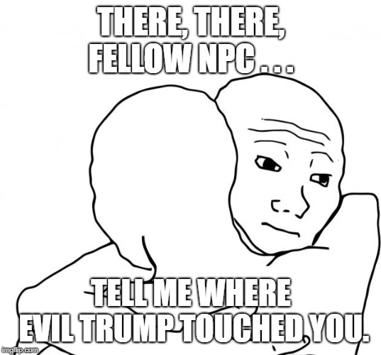 I Know That Feel Bro Meme | THERE, THERE, FELLOW NPC . . . TELL ME WHERE EVIL TRUMP TOUCHED YOU. | image tagged in memes,i know that feel bro | made w/ Imgflip meme maker