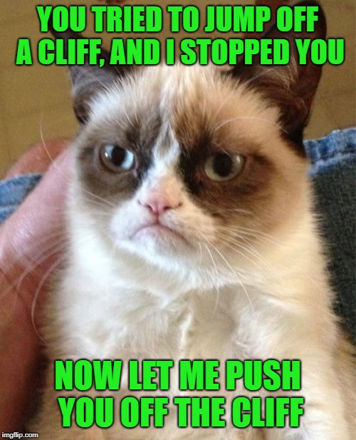 Grumpy Cat Meme | YOU TRIED TO JUMP OFF A CLIFF, AND I STOPPED YOU NOW LET ME PUSH YOU OFF THE CLIFF | image tagged in memes,grumpy cat | made w/ Imgflip meme maker
