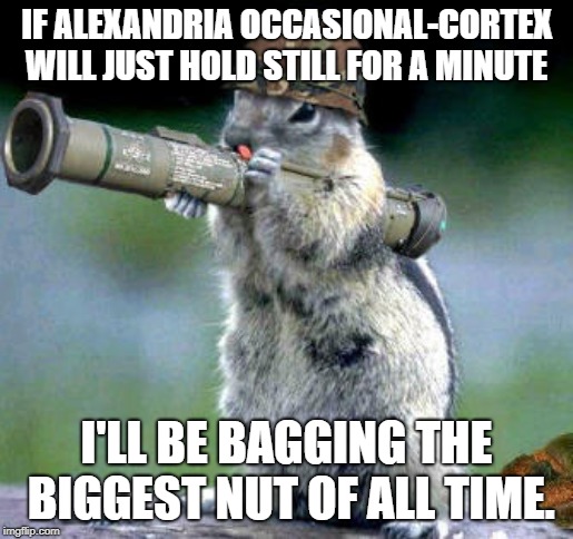 Bazooka Squirrel | IF ALEXANDRIA OCCASIONAL-CORTEX WILL JUST HOLD STILL FOR A MINUTE; I'LL BE BAGGING THE BIGGEST NUT OF ALL TIME. | image tagged in memes,bazooka squirrel | made w/ Imgflip meme maker