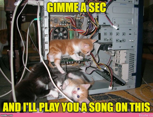 Kittens fixing a computer | GIMME A SEC AND I'LL PLAY YOU A SONG ON THIS | image tagged in kittens fixing a computer | made w/ Imgflip meme maker