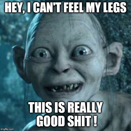 Gollum Meme | HEY,
I CAN'T FEEL MY LEGS; THIS IS REALLY GOOD SHIT ! | image tagged in memes,gollum | made w/ Imgflip meme maker