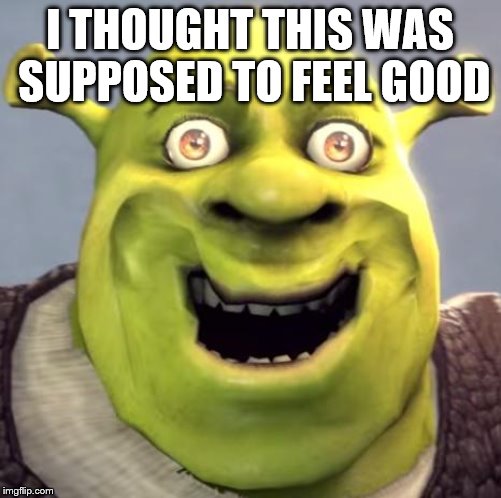 Shrek Rape Face | I THOUGHT THIS WAS SUPPOSED TO FEEL GOOD | image tagged in shrek rape face | made w/ Imgflip meme maker
