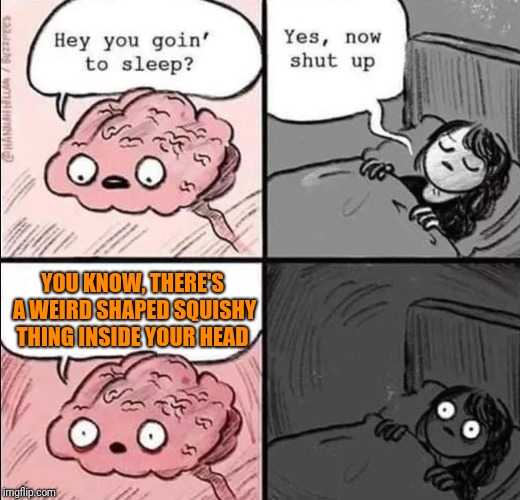 waking up brain | YOU KNOW, THERE'S A WEIRD SHAPED SQUISHY THING INSIDE YOUR HEAD | image tagged in waking up brain | made w/ Imgflip meme maker