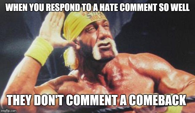 Hulk Hogan Ear | WHEN YOU RESPOND TO A HATE COMMENT SO WELL; THEY DON'T COMMENT A COMEBACK | image tagged in hulk hogan ear,memes,funny,hate comments | made w/ Imgflip meme maker