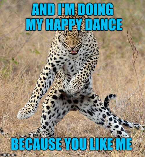 Leopard Dancing | AND I'M DOING MY HAPPY DANCE BECAUSE YOU LIKE ME | image tagged in leopard dancing | made w/ Imgflip meme maker