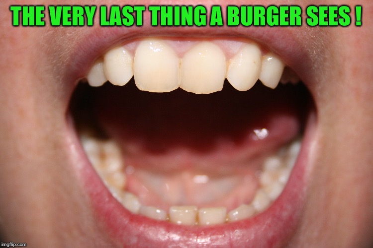 THE VERY LAST THING A BURGER SEES ! | made w/ Imgflip meme maker