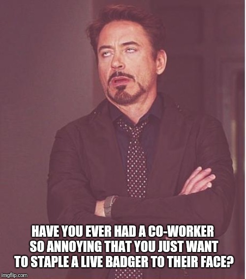 Although, If You Haven't, You May Need To Watch Out For Someone In A Nearby Cubicle With A Stapler And A Loud Box. | HAVE YOU EVER HAD A CO-WORKER SO ANNOYING THAT YOU JUST WANT TO STAPLE A LIVE BADGER TO THEIR FACE? | image tagged in memes,face you make robert downey jr,coworkers,annoying,badger | made w/ Imgflip meme maker