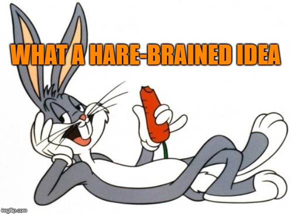 The adventure of bugs bunny | WHAT A HARE-BRAINED IDEA | image tagged in the adventure of bugs bunny | made w/ Imgflip meme maker