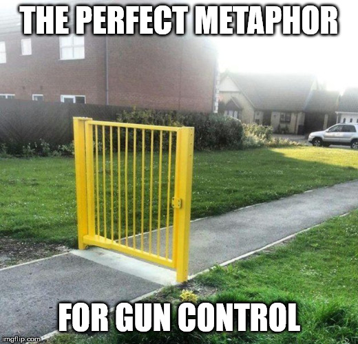 Gun control metaphor | THE PERFECT METAPHOR; FOR GUN CONTROL | image tagged in gun control | made w/ Imgflip meme maker
