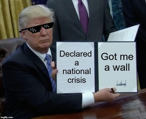 Trump Bill Signing Meme | Declared a national crisis; Got me a wall | image tagged in memes,trump bill signing | made w/ Imgflip meme maker