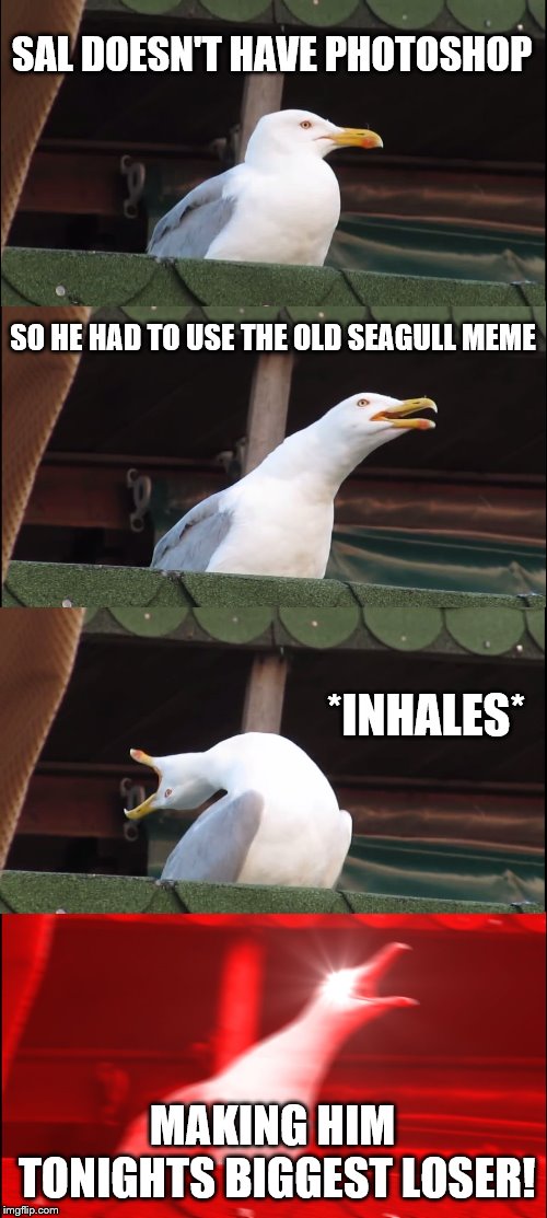 Inhaling Seagull Meme | SAL DOESN'T HAVE PHOTOSHOP; SO HE HAD TO USE THE OLD SEAGULL MEME; *INHALES*; MAKING HIM TONIGHTS BIGGEST LOSER! | image tagged in memes,inhaling seagull | made w/ Imgflip meme maker