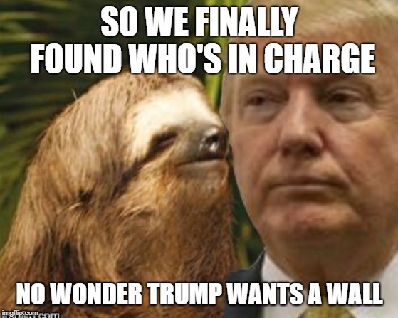 Illuminati, uh, un-confirmed? | SO WE FINALLY FOUND WHO'S IN CHARGE; NO WONDER TRUMP WANTS A WALL | image tagged in political advice sloth | made w/ Imgflip meme maker