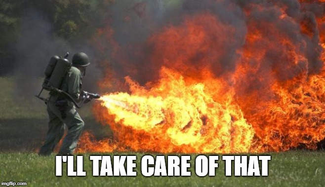flamethrower | I'LL TAKE CARE OF THAT | image tagged in flamethrower | made w/ Imgflip meme maker