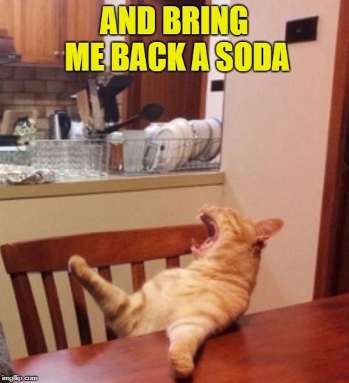 Cat yelling | AND BRING ME BACK A SODA | image tagged in cat yelling | made w/ Imgflip meme maker