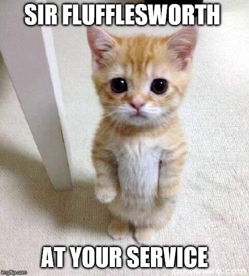 Cute Cat | SIR FLUFFLESWORTH; AT YOUR SERVICE | image tagged in memes,cute cat | made w/ Imgflip meme maker