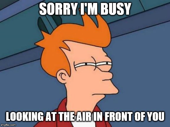 Futurama Fry Meme | SORRY I'M BUSY; LOOKING AT THE AIR IN FRONT OF YOU | image tagged in memes,futurama fry | made w/ Imgflip meme maker