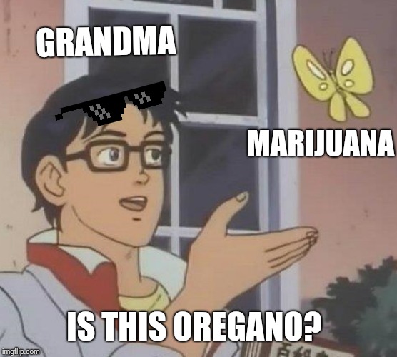 When grandma finds your stash | GRANDMA; MARIJUANA; IS THIS OREGANO? | image tagged in memes,is this a pigeon | made w/ Imgflip meme maker