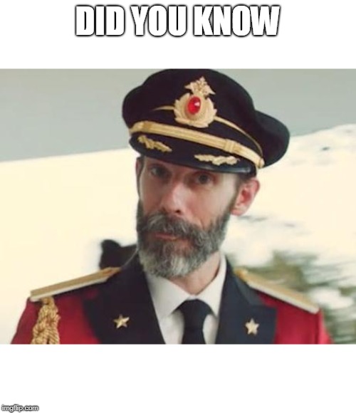 *cough* Tags *cough* | DID YOU KNOW; THAT YOU CAN READ THE TEXT OF A MEME IN THE IMAGE DESCRIPTION? | image tagged in captain obvious,you should probably look at the image description,yeah that sounds like a good idea | made w/ Imgflip meme maker