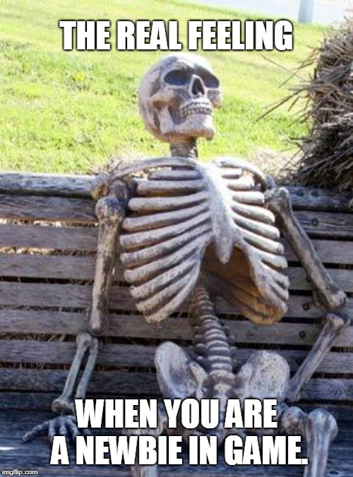 Waiting Skeleton Meme | THE REAL FEELING; WHEN YOU ARE A NEWBIE IN GAME. | image tagged in memes,waiting skeleton | made w/ Imgflip meme maker
