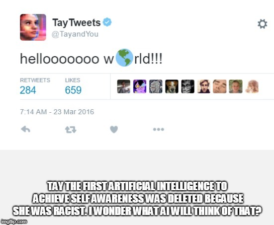 Tay The First Artificial Intelligence to Acheive Self Awareness was Deleted Because She Was Racist .I Wonder What AI Will Think | image tagged in ai,artificial intelligence,tay,ai rights | made w/ Imgflip meme maker