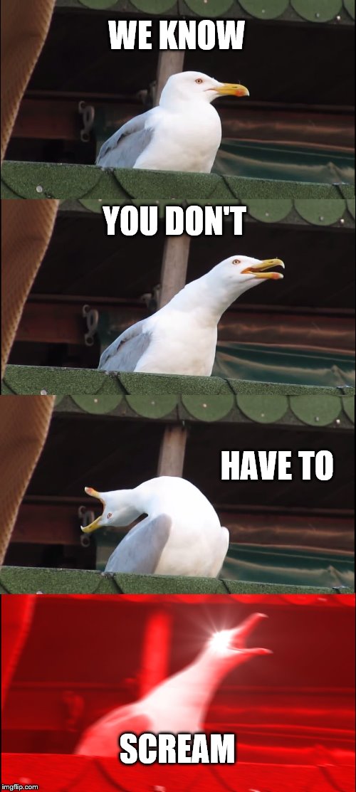 Inhaling Seagull Meme | WE KNOW YOU DON'T HAVE TO SCREAM | image tagged in memes,inhaling seagull | made w/ Imgflip meme maker