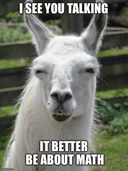 Llama glare | I SEE YOU TALKING; IT BETTER BE ABOUT MATH | image tagged in llama glare | made w/ Imgflip meme maker