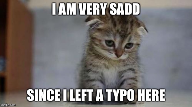Sad kitten | I AM VERY SADD; SINCE I LEFT A TYPO HERE | image tagged in sad kitten | made w/ Imgflip meme maker