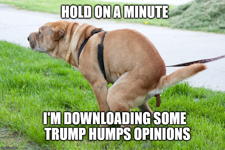 Downloading | HOLD ON A MINUTE; I'M DOWNLOADING SOME 
TRUMP HUMPS OPINIONS | image tagged in shit happens | made w/ Imgflip meme maker