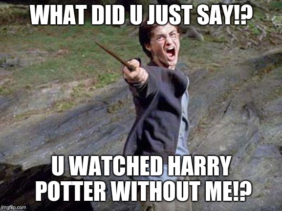 Harry Potter Yelling | WHAT DID U JUST SAY!? U WATCHED HARRY POTTER WITHOUT ME!? | image tagged in harry potter yelling | made w/ Imgflip meme maker