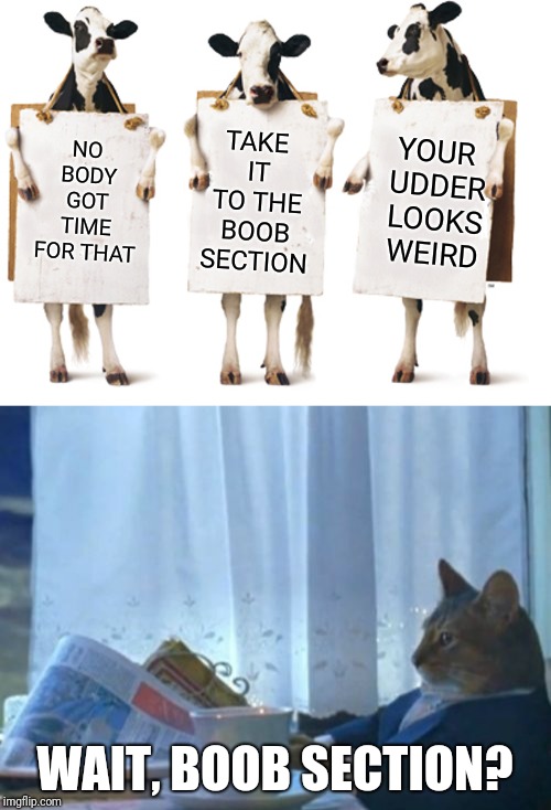 NO BODY GOT TIME FOR THAT TAKE IT TO THE BOOB SECTION YOUR UDDER LOOKS WEIRD WAIT, BOOB SECTION? | image tagged in memes,i should buy a boat cat,chick-fil-a 3-cow billboard | made w/ Imgflip meme maker
