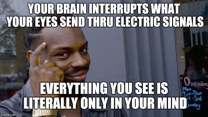 Reality Check | YOUR BRAIN INTERRUPTS WHAT YOUR EYES SEND THRU ELECTRIC SIGNALS; EVERYTHING YOU SEE IS LITERALLY ONLY IN YOUR MIND | image tagged in new,real talk | made w/ Imgflip meme maker